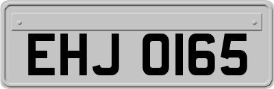EHJ0165