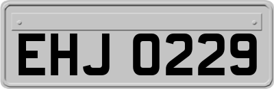 EHJ0229