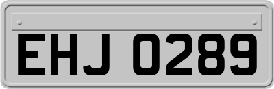 EHJ0289