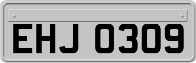 EHJ0309