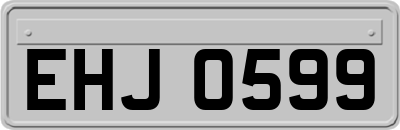 EHJ0599