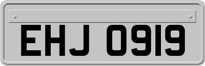 EHJ0919