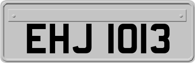 EHJ1013
