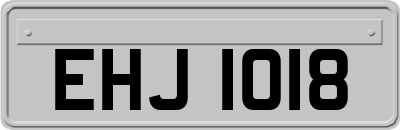 EHJ1018