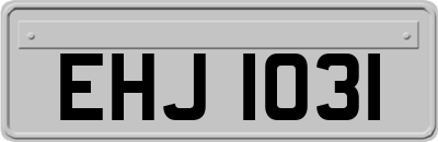 EHJ1031