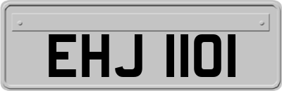 EHJ1101