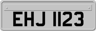 EHJ1123