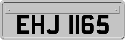 EHJ1165