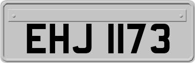 EHJ1173