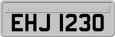 EHJ1230