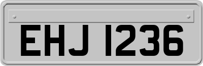 EHJ1236