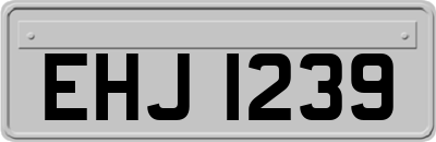 EHJ1239