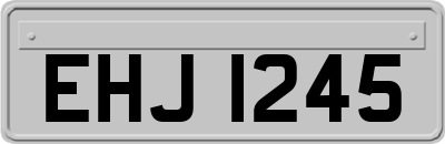 EHJ1245