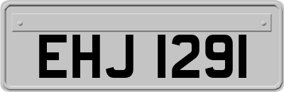 EHJ1291