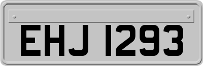 EHJ1293