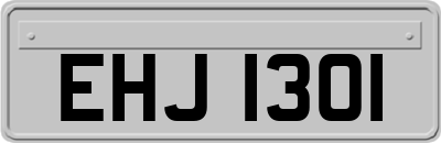 EHJ1301
