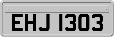 EHJ1303
