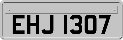 EHJ1307
