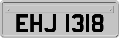 EHJ1318