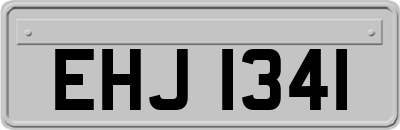 EHJ1341