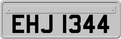 EHJ1344
