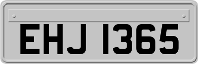 EHJ1365