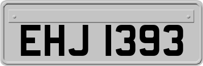 EHJ1393