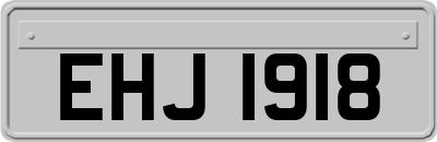 EHJ1918