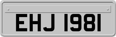 EHJ1981