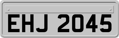 EHJ2045