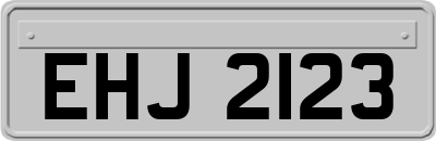 EHJ2123