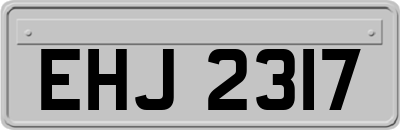 EHJ2317