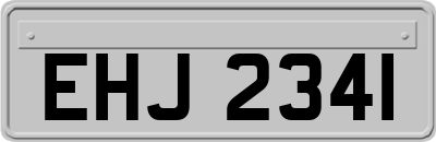 EHJ2341