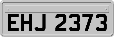 EHJ2373