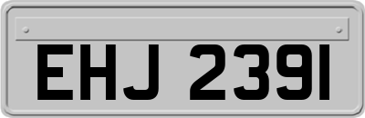 EHJ2391