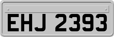 EHJ2393
