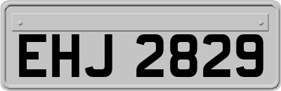 EHJ2829
