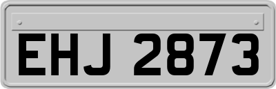 EHJ2873