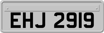 EHJ2919