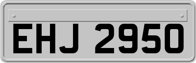 EHJ2950