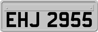 EHJ2955