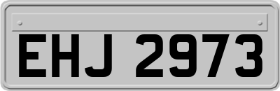 EHJ2973