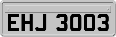 EHJ3003