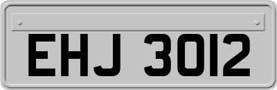 EHJ3012