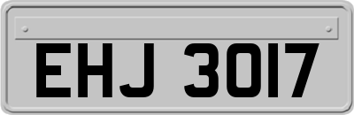 EHJ3017