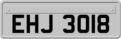 EHJ3018