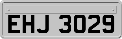 EHJ3029