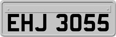 EHJ3055
