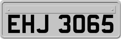 EHJ3065