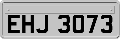 EHJ3073